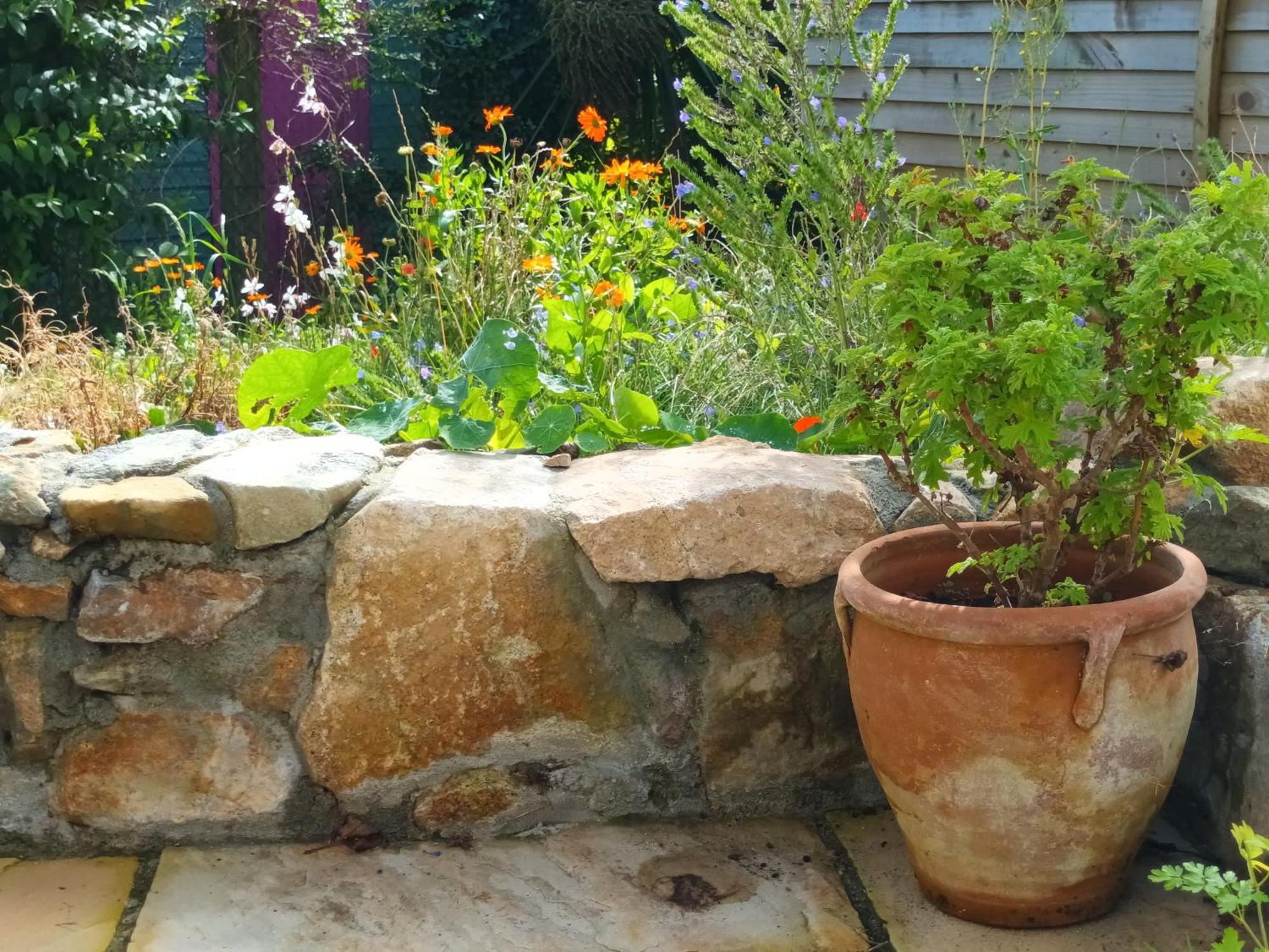 St Ives Sunrise! ~ 2 Bedrooms, Garden, Parking, Sea Views מראה חיצוני תמונה