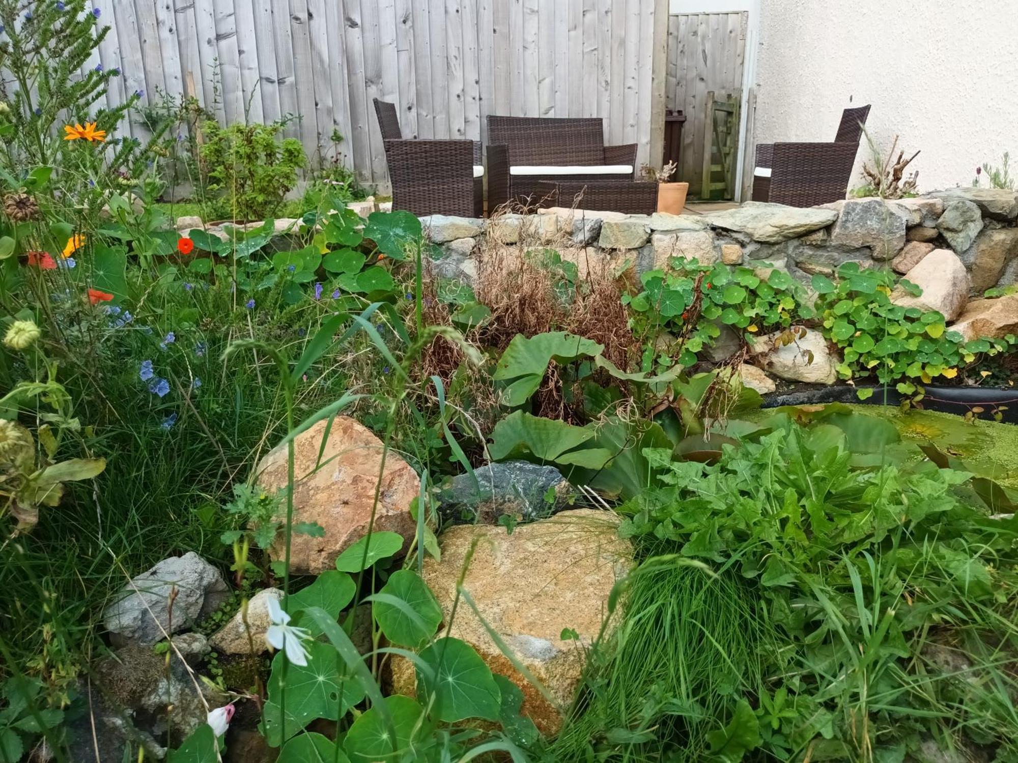 St Ives Sunrise! ~ 2 Bedrooms, Garden, Parking, Sea Views מראה חיצוני תמונה